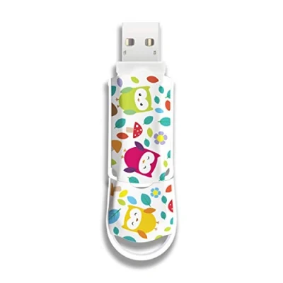 Image de Integral Clé 8 Go USB 3.0 Noir avec Capuchon Fixable