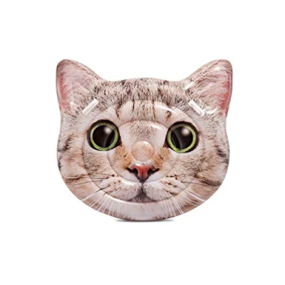 Image de Intex Ile Cat Gonflable