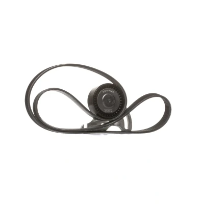 Image de SKF VKMA 36036 Jeu de courroies trapézoïdales à nervures RENAULT: CLIO 2 Kasten, Kangoo I, GRAND SCENIC 2, DACIA: Logan I Berline