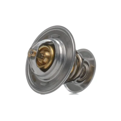 Image de MEYLE 100 121 0048 Thermostat d&#039;eau 87 ORIGINAL Quality avec joint d&#039;étanchéite VOLKSWAGEN: GOLF 2, Passat B3/B4 Break, B5 GP Berline oscaro,