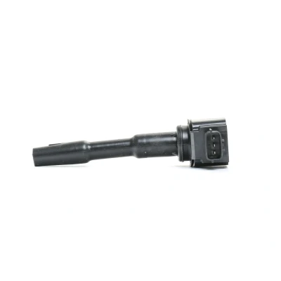 Image de DELPHI GN10798 12B1 Bobine d&#039;allumage 3 12 RENAULT: Captur, Megane 4, Clio DACIA: Lodgy, Duster SUV, SANDERO 2