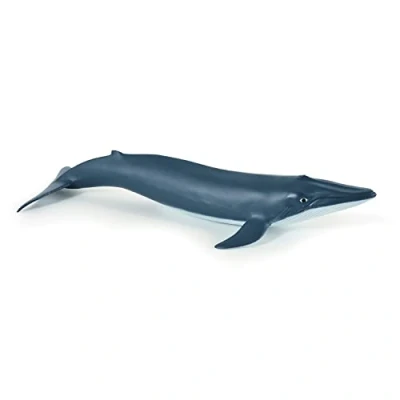 Image de Papo Bébé Baleine Bleue l&#039;univers Marin Animal Figurine, 56041, Multicolore