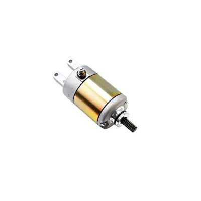 Image de demarreur Maxi Scooter teknix Compatible avec 250 skyliner/300 kilibre/250/400 Xmax