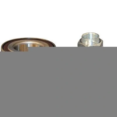 Image de JP GROUP 3441300510 Kit de roulements roue avec bague ABS 73 HONDA: Jazz 2, CR V 2