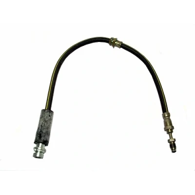 Image de DELPHI LH6368 Flexible De Frein 540 M10x1 Int SF FORD: FIESTA 5, Fusion Break