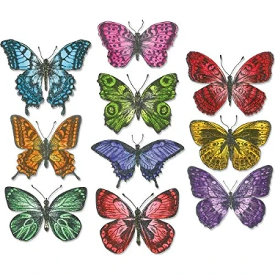 Image de Sizzix 662269 Framelits Die Set 20PK, Battement par Tim Holtz Métal Multicolour 20.99 x 10.8 0.2 cm