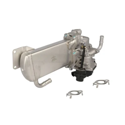 Image de NRF 48209 Module AGR avec radiateur EGR VOLKSWAGEN: Transporter 5, 5 Bus, 6