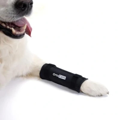 Image de Ortocanis Attelle Chien, Orthèse Patte, Chiens souffrant d&#039;Arthrose, Lésions Ligaments, Instabilité du Carpe, Taille S