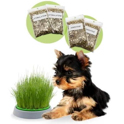 Image de R&amp;R SHOP Kit Herbe pour Chien Double Graines Pot de Germination, 2 Types d&#039;herbe Chien, Stimulante et Digestive, 4 Sachets Substrat, Convient à Tous Les Chiens