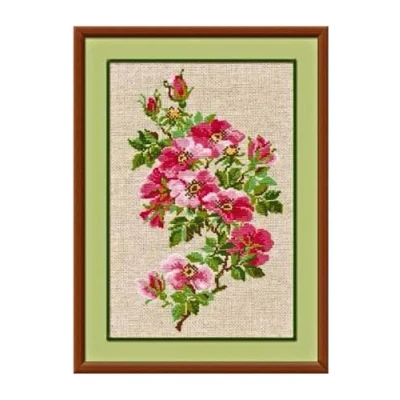 Image de RIOLIS Kit Point de Croix compté Motif Rose Sauvage Peut Multicolore
