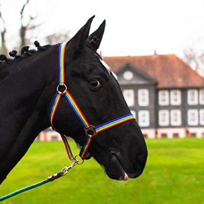 Image de licol pour cheval sang chaud, froid, froid d&#039;écurie, de pâturage, 2 positions réglables au niveau la mentonnière et têtière, sûr indéchirable (arc en ciel, shetty)