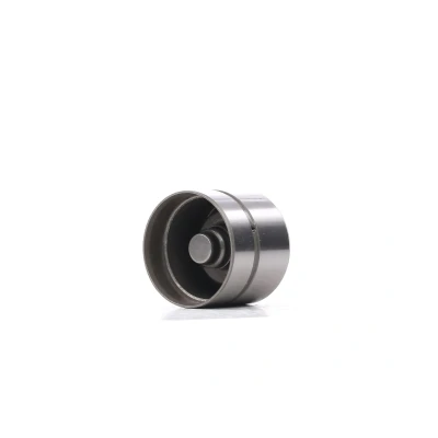Image de AE FOL156 Poussoir hydraulique Côté d&#039;échappement, Entrée VOLVO: XC90 I, V70 2, S80 RENAULT: LAGUNA 1, SAFRANE 2