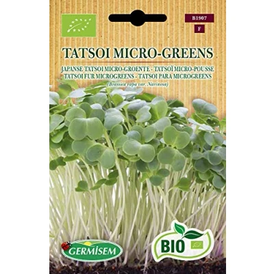 Image de Germisem Bio Graines Tatsoï micro pousse