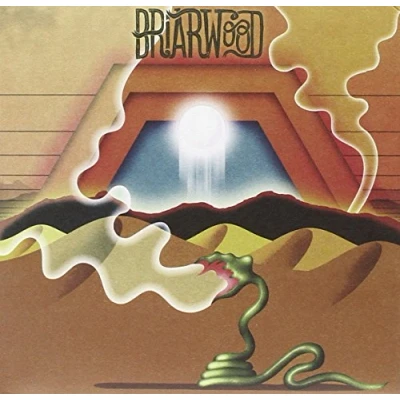 Image de CD WOODEN WAND &amp; THE Briarwood VIRGINS FIRECD217 Fire Records 2011 UK ObiRock Occasion