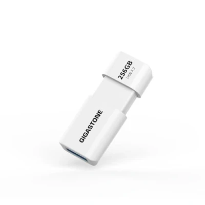 Image de Gigastone Z60 Clé USB 3.2 Gen1 256 Go, R/W 120/80 Mo/s Ultra Haute Vitesse Lecteur de Stylo, Rétractable sans Capuchon Conception, Compatible avec Interface 2.0 / 3.0 3.1