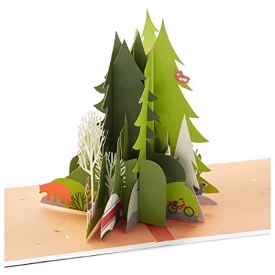 Image de Hallmark Carte d&#039;anniversaire pop up en papier Motif Wonder