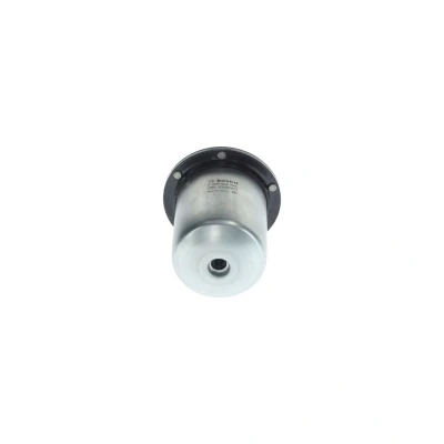 Image de BOSCH F 026 402 165 Filtre à Carburant de conduite 10mm RENAULT: Kangoo II Express, Clio 4, / Grand Kangoo, DACIA: Duster SUV