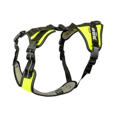 Image de Mantrailing Essential Harness, Size: L XL, Neon