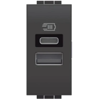 Image de Bticino L4191AC Chargeur USB avec Deux entrées de Type A et C, à Installer dans la Plaque Livinglight, pour recharger Un Appareil électronique jusqu&#039;à 15 W ou appareils assemblés, 1 Module,