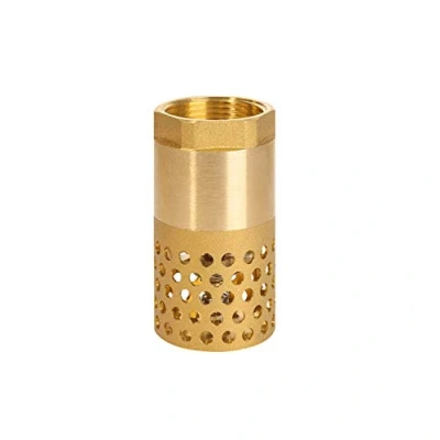 Image de clapet anti retour pompe 1/2 3/4 1 1/4 2 3 pouce de pied crepine (1 pouce)