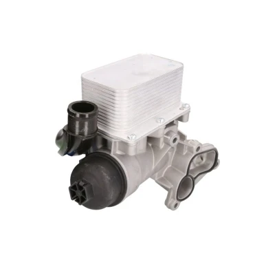Image de THERMOTEC D4R007TT Radiateur d&#039;Huile RENAULT: TRAFIC 2 Kasten, MASTER 3 Bus, OPEL: Vivaro A Combi, Van