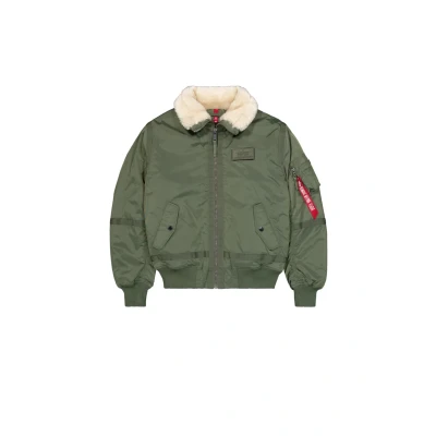 Image de Blouson Alpha Industries B15 3 TT