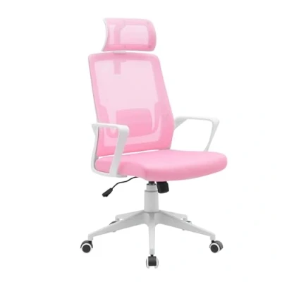 Image de Mars Gaming MGC ERGOLITE, Chaise Ergonomique, Support Maille Respirante, Appui tête et Lombaire Réglables, Hauteur Ajustable Siège Coussiné, Piston à Gaz Classe 3, Acier, Rose