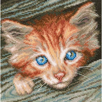 Image de RTO M710 Kit de broderie au point croix en coton, multicolore, 18 x cm