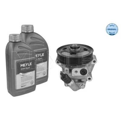 Image de MEYLE 714 631 0035/S Pompe De Direction Assistée hydraulique avec quantité d&#039;huile pour rinçage à l&#039;huile FORD: S Max Mk1, MONDEO 4, Galaxy Mk2 MPV