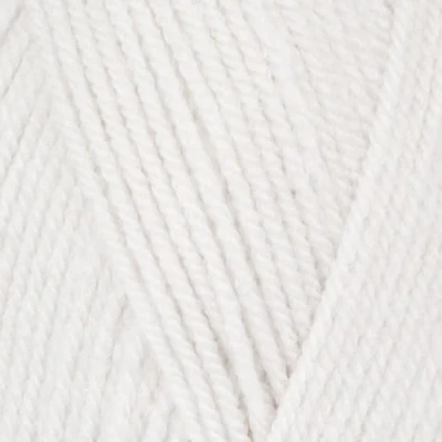 Image de Stylecraft 9041807 Fil spécial DK A Hint of Silver (1807) 100 g