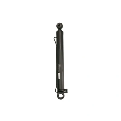 Image de Vérin de basculement, cabine conduite DT Spare Parts 1.23008