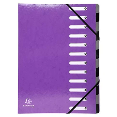 Image de Exacompta Réf. 53926E 1 trieur HARMONIKA Iderama avec élastiques et fenêtres découpées dos extensible en carte lustrée pelliculée 12 compartiments dim 24,5x32 cm A4 couleur violet