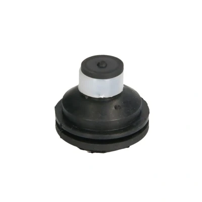 Image de REINHOCH RH11 2109 Support moteur avant RENAULT: Kangoo I Express, CLIO 1,