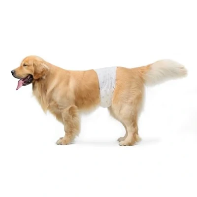 Image de Amazon Basics Lot de 50 Couches jetables pour Chien mâle, Taille S, Blanc