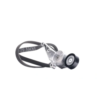 Image de SKF VKMA 31091 Jeu de courroies trapézoïdales à nervures VOLKSWAGEN: Caddy 3, Transporter 5 Bus, 5, SEAT: Alhambra I