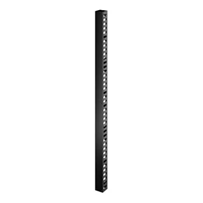 Image de APC Support de câble EasyRack 42U, vertical, pour Rack 800mm largeur Neuf
