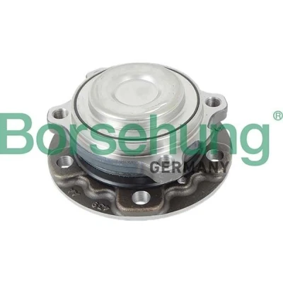 Image de Kit de roulements roue Borsehung B11711