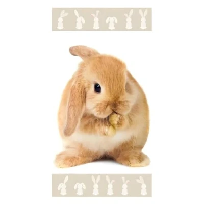 Image de Aptex Serviette de Plage avec Lapin 70 x 140 cm