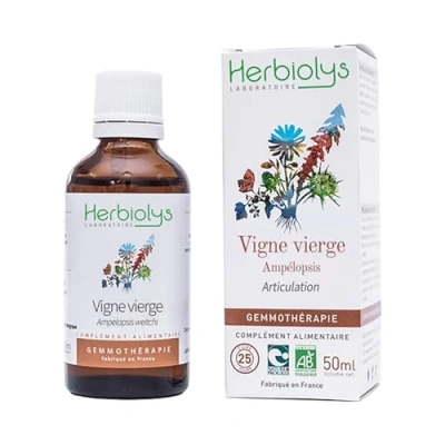 Image de Herbiolys Macérat de bourgeons Bio Vigne vierge (Ampelopsis weitchi/triscupidata) Articulation Gemmothérapie 50 ml
