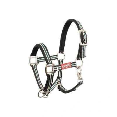 Image de Premiere Licol Poulain Vivid Néoprène Noir/Beige/Vert XS