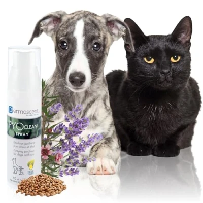 Image de Dermoscent Aventix 920 8507 Spray Pyoclean