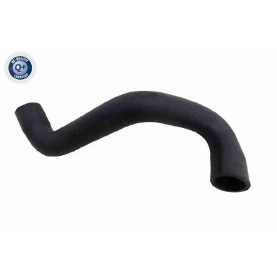 Image de VAICO V25 2570 Durite De Refroidissement Radiateur moteur, à droite, inférieur EPDM (éthylène propylène diène caoutchouc) FORD: C Max 2, FOCUS 3