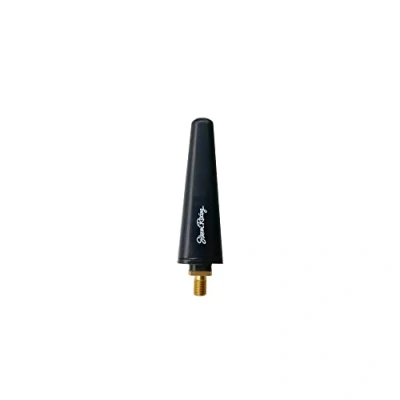 Image de Simoni Racing Real ASR/196 N Antennes