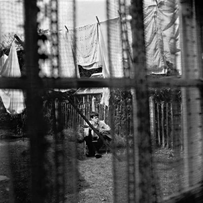 Image de chaos and creation in the backyard