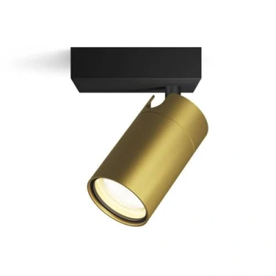 Image de Philips Idris 1 spot, GU10 sans lampe, laiton, IP44, résistant à l&#039;eau