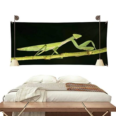Image de MEAT &amp; DORIA 23181 Comodo CITROËN: Berlingo / First I Van, I, Jumpy PEUGEOT: Partner Combispace
