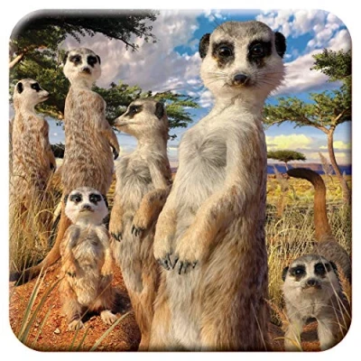 Image de 3D LiveLife sous Verre en Liège Regard de Suricates Deluxebase. Dessous lenticulaire Safari. Antidérapant Illustrations Originales Licence L&#039;Artiste renommé David Penfound