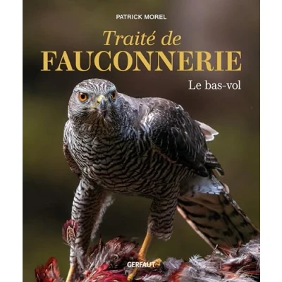 Image de traité de fauconnerie: le bas vol