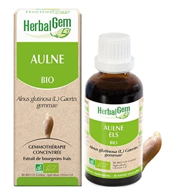 Image de Herbalgem Aulne Bio Complément Alimentaire Extrait De Bourgeon Frais Pour Défenses Naturelles &amp; Circulation 30 ml