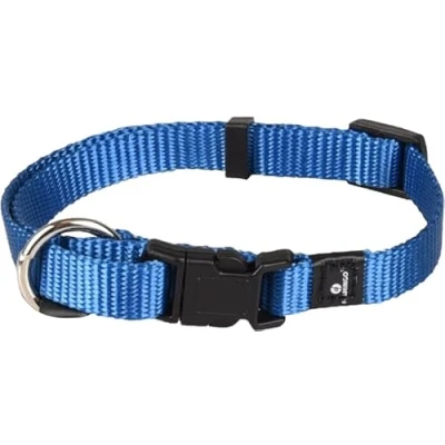 Image de Flamingo Collier pour Chiens Ziggi Bleu Taille XS 20 35 cm, 10 mm Idéal Pinscher Miniature, Coton de Tuléar, Terrier Norwich, Lhassa Apso et Épagneul Nain Continental